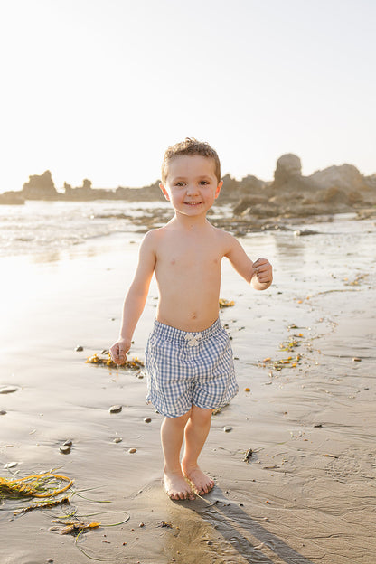 Light Blue Gingham Swim Shorts