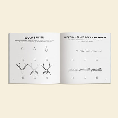 Bugs: How to Draw Books for Kids
